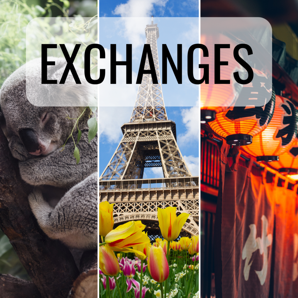 Program Types_Exchanges