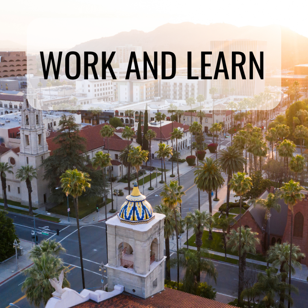 Program Types_Work and Learn